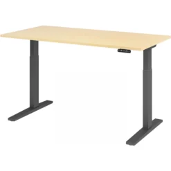 XMKA 16 G | Schreibtisch 160 x 80 elektrisch höhenverstellbar Ahorn
