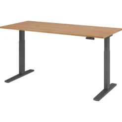 XMKA 19 G | Schreibtisch 180 x 80 elektrisch höhenverstellbar Nussbaum