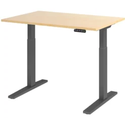 XMKA 12 G | Schreibtisch 120 x 80 elektrisch höhenverstellbar Ahorn