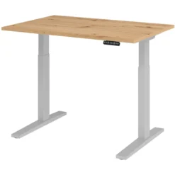 XMKA 12 S | Schreibtisch 120 x 80 elektrisch höhenverstellbar Asteiche
