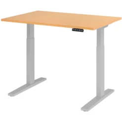 XMKA 12 S | Schreibtisch 120 x 80 elektrisch höhenverstellbar Buche
