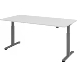XMST 2E G | Schreibtisch 200 x 100 elektrisch höhenverstellbar Grau