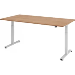 XMST 2E S | Schreibtisch 200 x 100 elektrisch höhenverstellbar Nussbaum