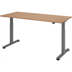 XMST 19 G | Schreibtisch 180 x 80 elektrisch höhenverstellbar Nussbaum