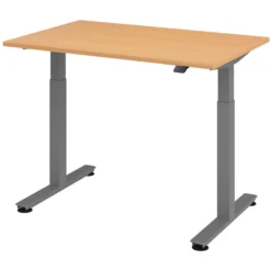 XMST 12 G | Schreibtisch 120 x 80 elektrisch höhenverstellbar Buche