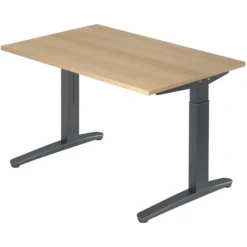 XTRA XB 12 GG | Schreibtisch 120 x 80 höhenverstellbar Eiche