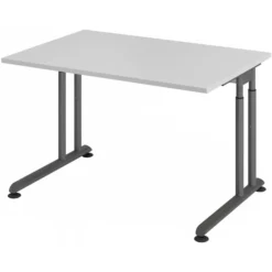 ZENO 12 G | Schreibtisch 120 x 80 höhenverstellbar Grau/Graphit