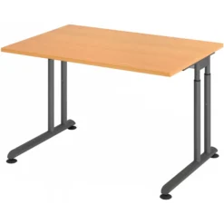 ZENO 12 G | Schreibtisch 120 x 80 höhenverstellbar Buche/Graphit