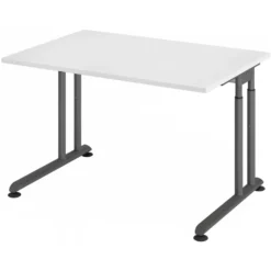 ZENO 12 G | Schreibtisch 120 x 80 höhenverstellbar Weiß/Graphit