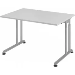 ZENO 12 S | Schreibtisch 120 x 80 höhenverstellbar Grau/Silber