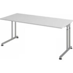 ZENO 19 S | Schreibtisch 180 x 80 höhenverstellbar Grau/Silber